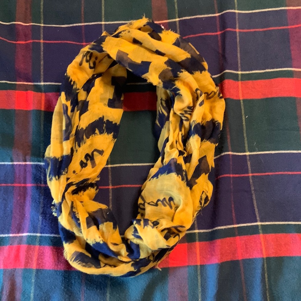 a Michigan scarf